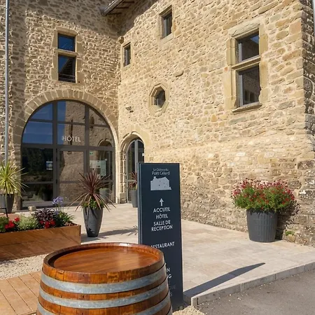 Hotel Chateau Du Poet-celard